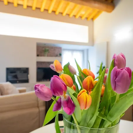 公寓 Stella - Centro *