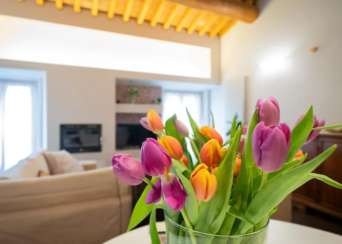 Apartment Stella - Centro *